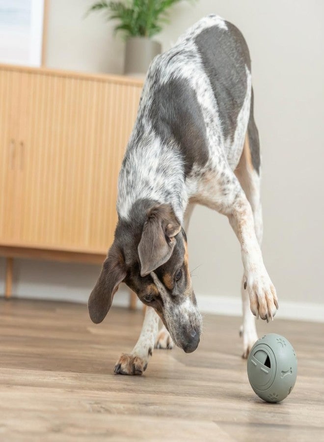 تريكسي كرات تريكسي الخفيفة البلاستيكية 7 سم - Image 2